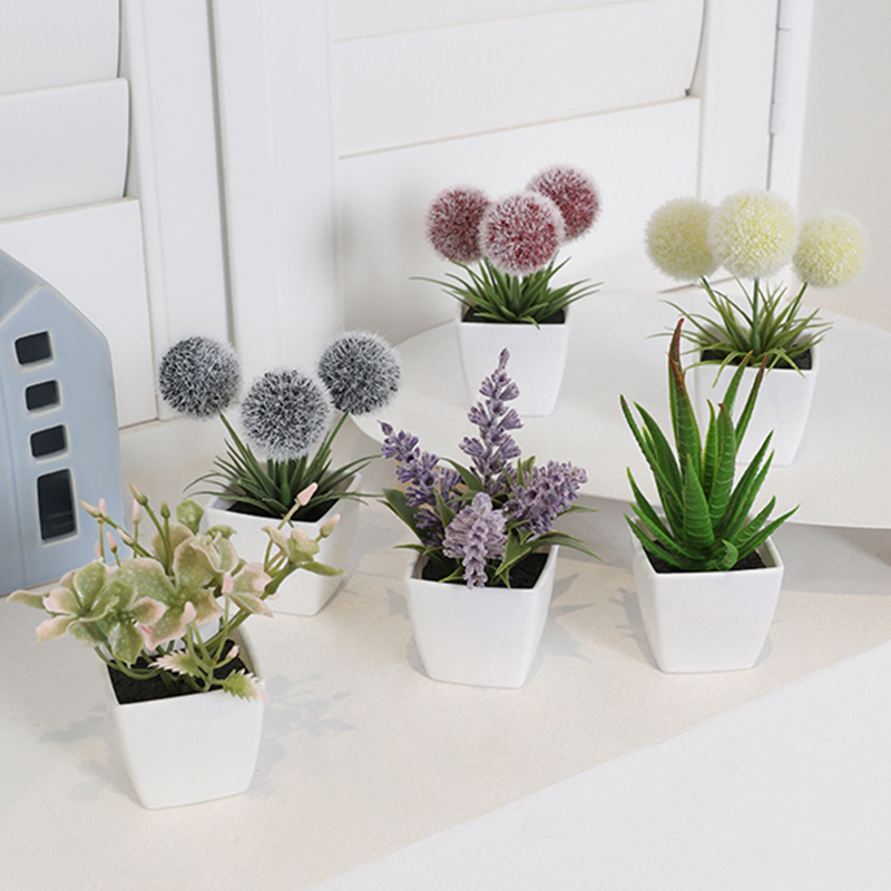 1SET (6 buah) tanaman Bonsai b - Home Decor Store ulasan dan harga