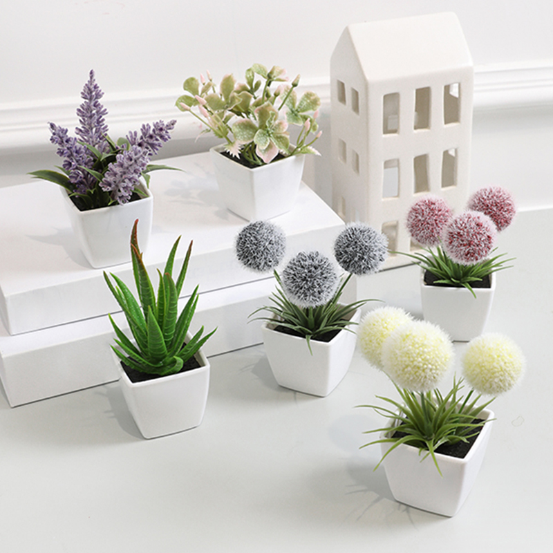 1SET (6 buah) tanaman Bonsai b - Home Decor Store ulasan dan harga