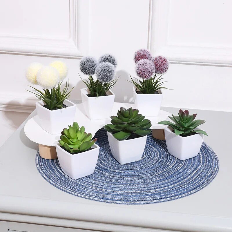 1SET (6 buah) tanaman Bonsai b - Home Decor Store ulasan dan harga