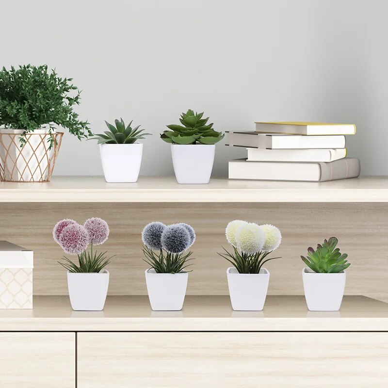 1SET (6 buah) tanaman Bonsai b - Home Decor Store ulasan dan harga