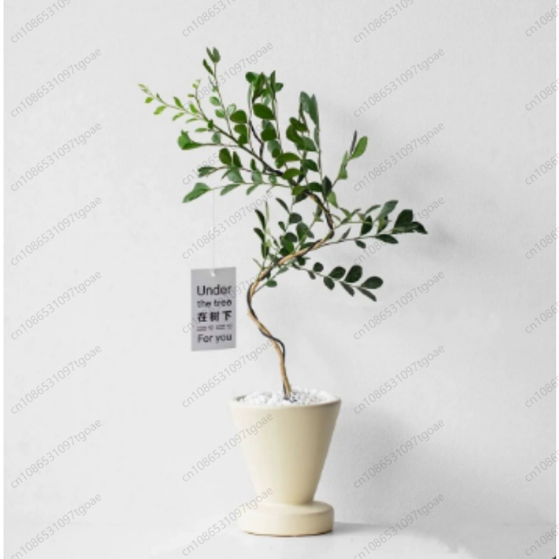 Pot Keramik Kerucut Minimalis  - Succulent Planter Pot ulasan dan harga