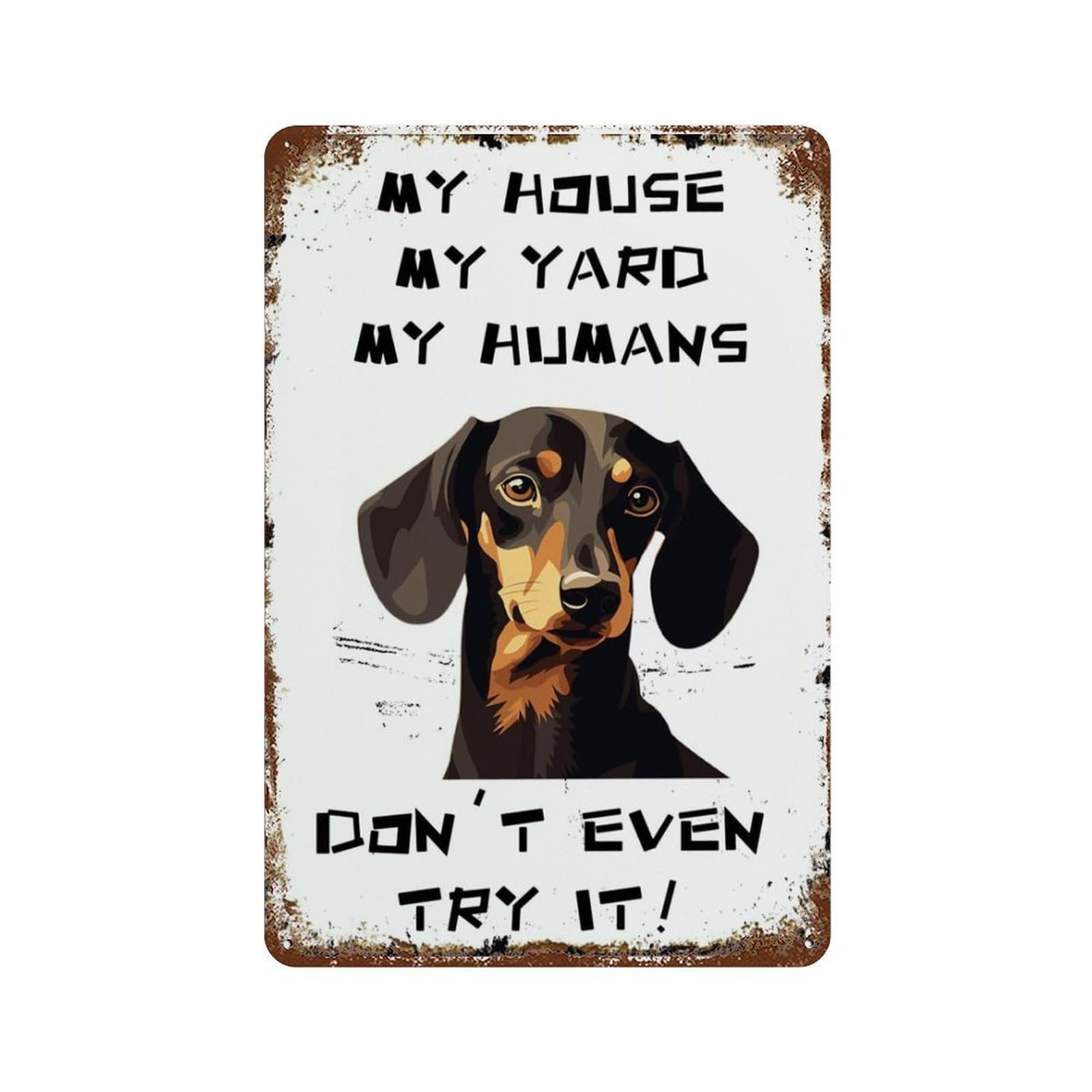 Papan Timah Vintage Dachshund  - Home Decor Nearby ulasan dan harga